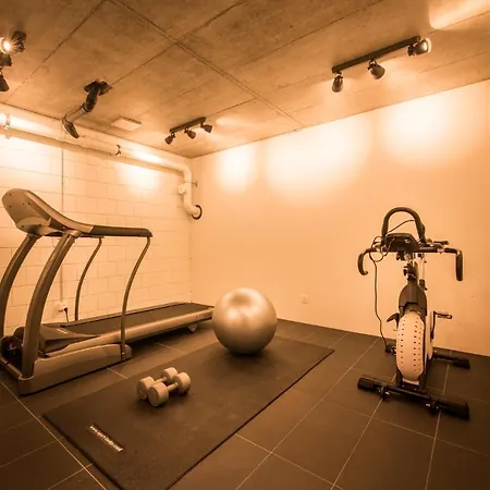 아파트 Dependance West 인터라켄